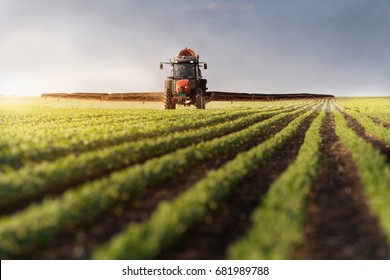 Tractor spraying soybean field at spring 