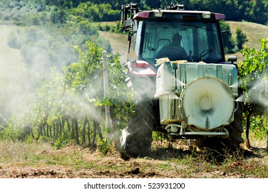 Tractor Spraying Weed Killer In A Vineyard