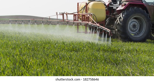 Tractor spraying wheat field with sprayer, herbicides and pesticides