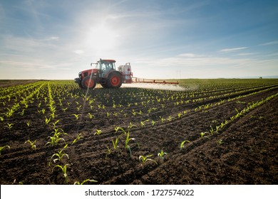 Tractor spraying young corn with pesticides - Shutterstock ID 1727574022