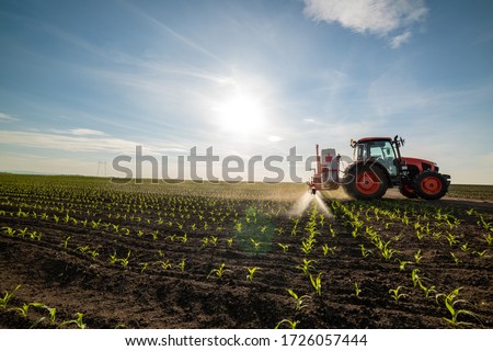 Tractor spraying young corn with pesticides 商業照片 © 