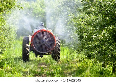 Tractor sprays insecticide in apple orchard fields  
