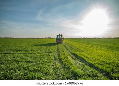 Tractor spreading artificial fertilizers in wheat field. Transport, agricultural. - Shutterstock ID 1948962976