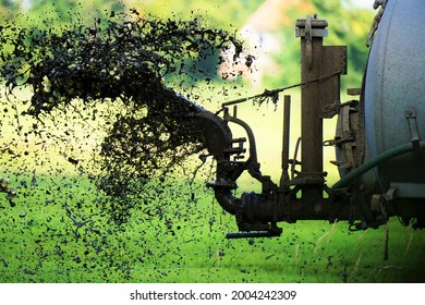 Tractor Spreading Liquid Manure On A Field In July