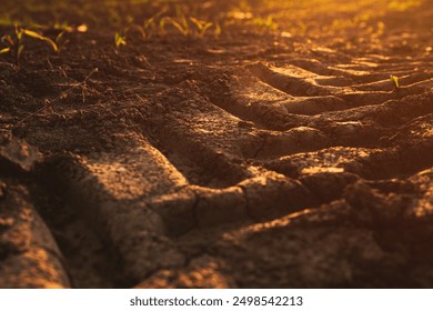 Tractor tire track imprint in dirt road in diminishing perspective - Powered by Shutterstock