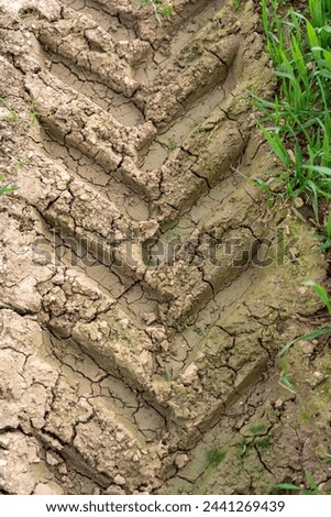 Tractor Tire Tracks on Parched Cracked Earth