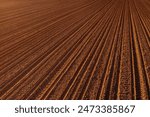 Tractor tire tread and tiller marks in plowed soil ground, aerial shot, high angle view