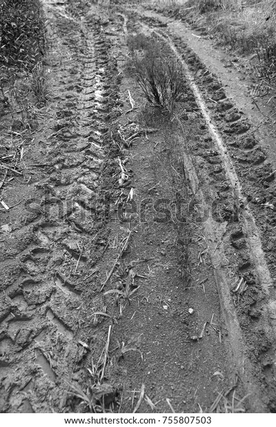 Tractor\
Traces on muddy road. Black and white\
tone.