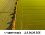 Tractor tracks in a green field on a flower strip for insects to preserve biodiversity