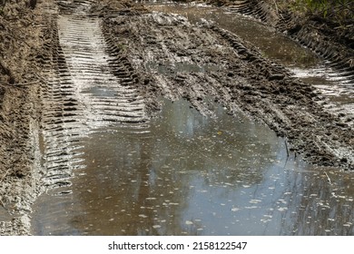 Tractor Tracks In The Mud. Large Dirty Puddle Filled The Hole After The Tractor. No Road. Ground Water.