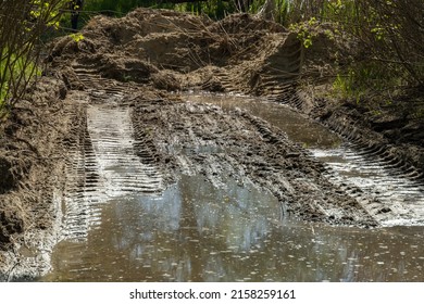 Tractor Tracks In The Mud. Large Dirty Puddle Filled The Hole After The Tractor. No Road. Ground Water.