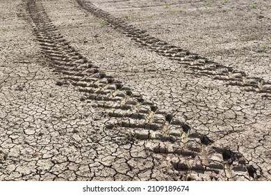 Tractor tracks through a dry barren field during drought on a UK farm. Background, texture or pattern depicting concepts of global warming and climate change.