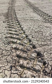 Tractor tracks through dry cracked earth, dry field on a UK farm during a drought in summer