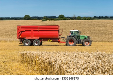 Tractor With Trailer In The Grain Field