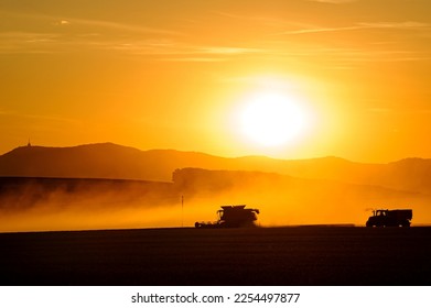 A tractor and trailer move next to a working combine harvester to dump grain from its loader in a wheat field in the summer months during sunset. Clouds of dust behind. - Shutterstock ID 2254497877