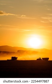 A tractor and trailer move next to a working combine harvester to dump grain from its loader in a wheat field in the summer months during sunset. Clouds of dust behind. - Shutterstock ID 2254497887