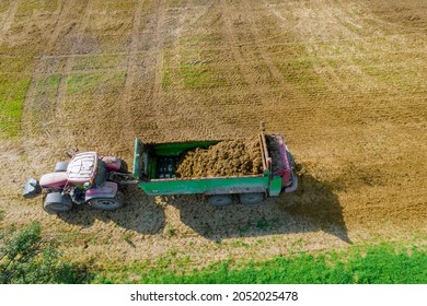 The tractor from the trailer scatters manure on the field. Feeding the soil. Natural fertilizer. Aerial view.