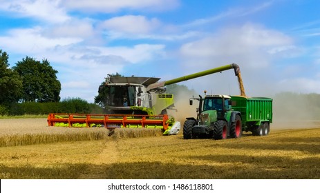 Tractor with trailer working in tandem alongside a working combine harvester discharging grain from uploader in an English cornfield. Dust clouds. Landscape image with space for text. Oxfordshire. - Shutterstock ID 1486118801