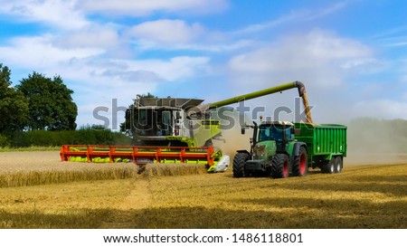 Tractor with trailer working in tandem alongside a working combine harvester discharging grain from uploader in an English cornfield. Dust clouds. Landscape image with space for text. Oxfordshire.