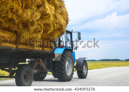 tractor transports haystack on the trailer on the road