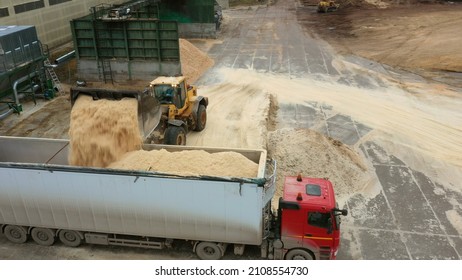 A Tractor Transports Sawdust At A Sawmill. Waste From The Forest Industry.