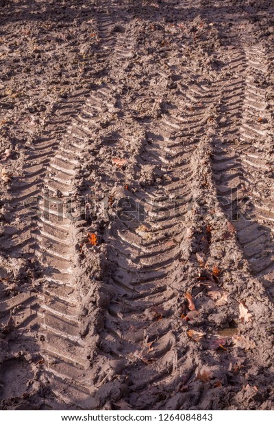 Tractor\
wheel track marks in the deep mud on sunny\
day.