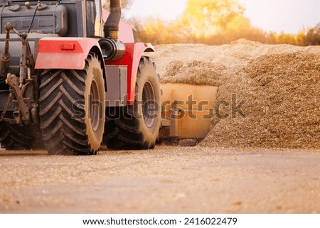 Tractor working with silage at dairy farm, compacting fresh harvest chopped maize with heavy roller for silo, fermented feed for food of cow.