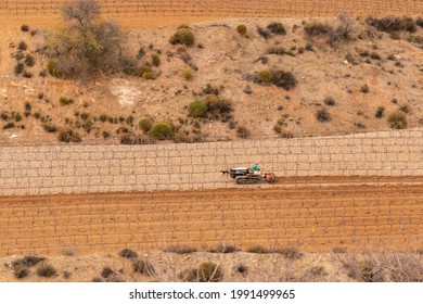 tractor working a vineyard in the south of Spain, there are trees and bushes, there are stones, there is a dog next to the tractor