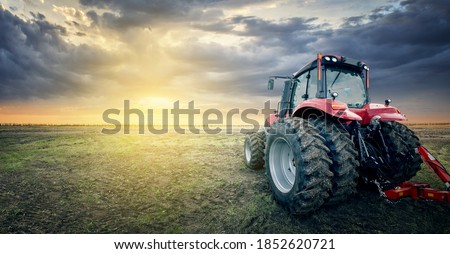 The tractor works in the field against the background of sunset.