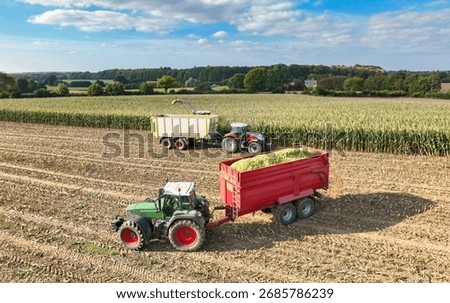 Tractors loading and transporting chopped maize during harvest - 0156