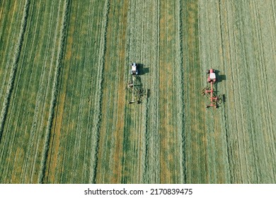 Tractors Mowing A Green Grass For Forage Harves. Aerial View