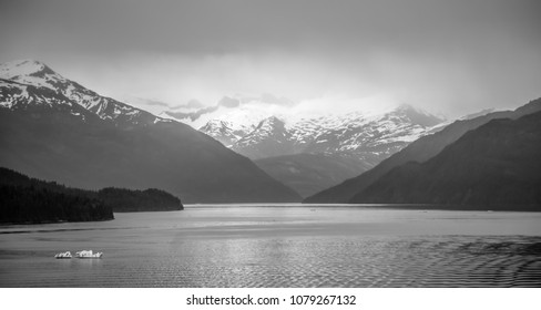 Tracy Arm Fjord Scenery June Alaska Stock Photo 1079267132 | Shutterstock