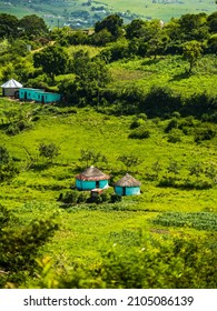 Tradition African Rondavel House In The Eastern Cape Village In South Africa