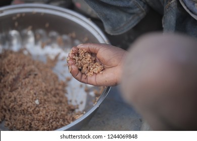 Traditional African Food: Horizontal Photography Of A Silver Bowl Full Of Rice Dish, With Black Kids Hands Eating, Outdoors On A Sunny Day In The Gambia, Africa