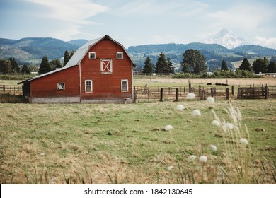 Traditional American Farm With A Red Wooden Barn. The Beautiful Red Barn On The Background Of The Mount Hood. Old Red Barn In Rural, Oregon, USA.