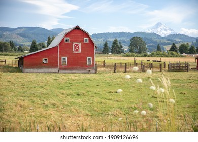 Traditional American farm with a red wooden barn. The beautiful red barn on the background of the Mount Hood. Old red barn in rural, Oregon, USA.