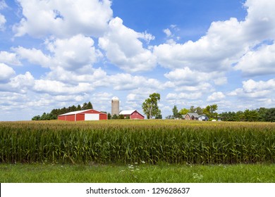 Traditional American Red Farm in Summer - Shutterstock ID 129628637
