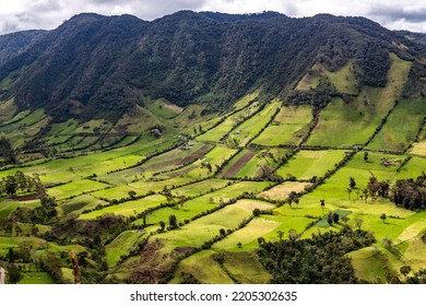 Traditional Andean Crops Small Plots Rural Stock Photo 2205302635 ...