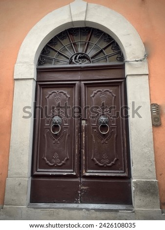 Traditional antique portals and doors of Tuscany: Florence and Pisa.
