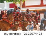 Traditional artisans ornaments on the head of carriage horses at the fair in Jerez de la Frontera Cadiz