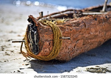 Traditional Australian Swamp Mahogany Aboriginal Bark Canoe Made By Gubbi Gubbi Elder Lyndon Davis During Boon Gari Festival At Noosa (Sunshine Coast Region, Queensland, Australia)