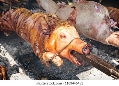 Traditional Balkan party food - whole piglet and lamb roasted on the open fire of the barbeque grill in the street market of Serbia