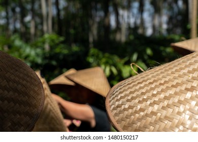 conical bamboo hat