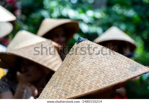 conical bamboo hat