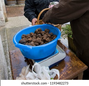 Traditional Black Truffle Market Of Lalbenque In Périgord, France