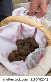 Traditional Black Truffle Market Of Lalbenque In Périgord, France