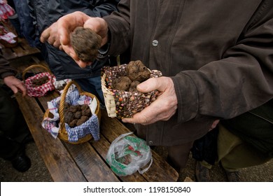 Traditional Black Truffle Market In Lalbenque, France