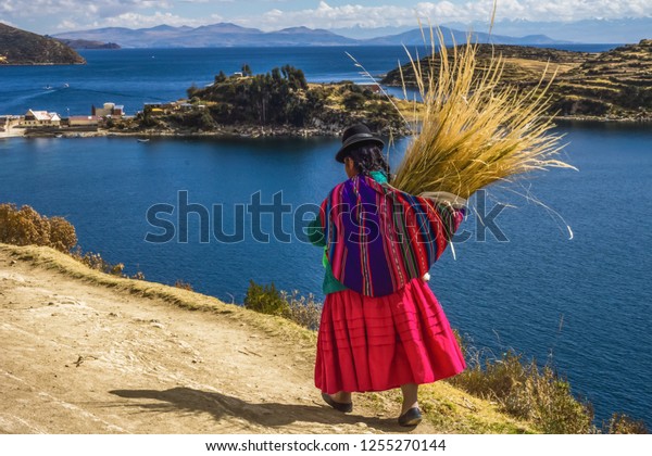 Traditional bolivian woman in\
traditional dress, walking trought the Sun island in lake titicaca,\
Bolivia