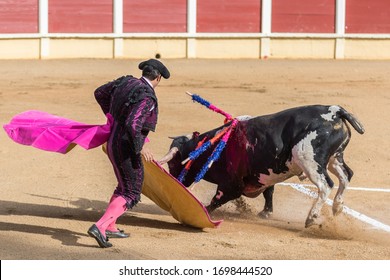 Traditional Bullfighting and corrida, matador and bull