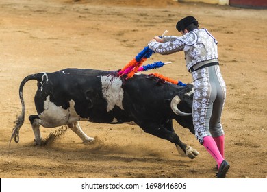 Traditional Bullfighting and corrida, matador and bull